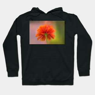 Saying Goodbye to Summer Flowers Hoodie